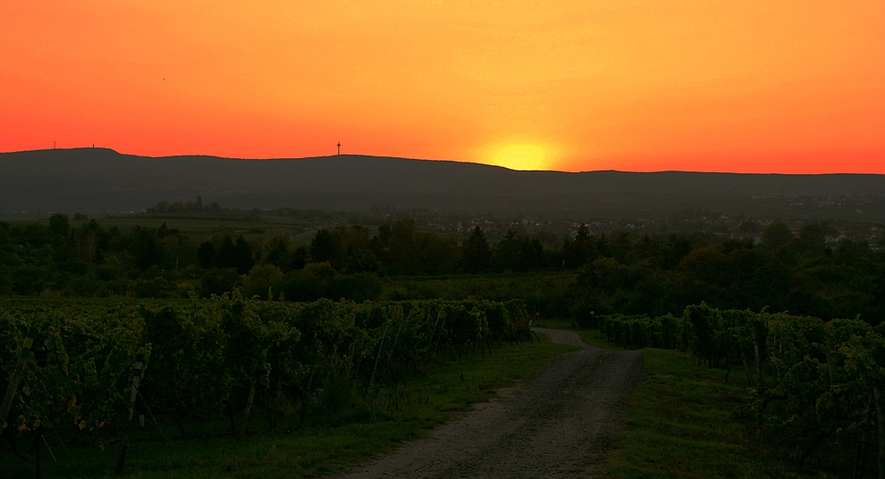 Abendstimmung im September