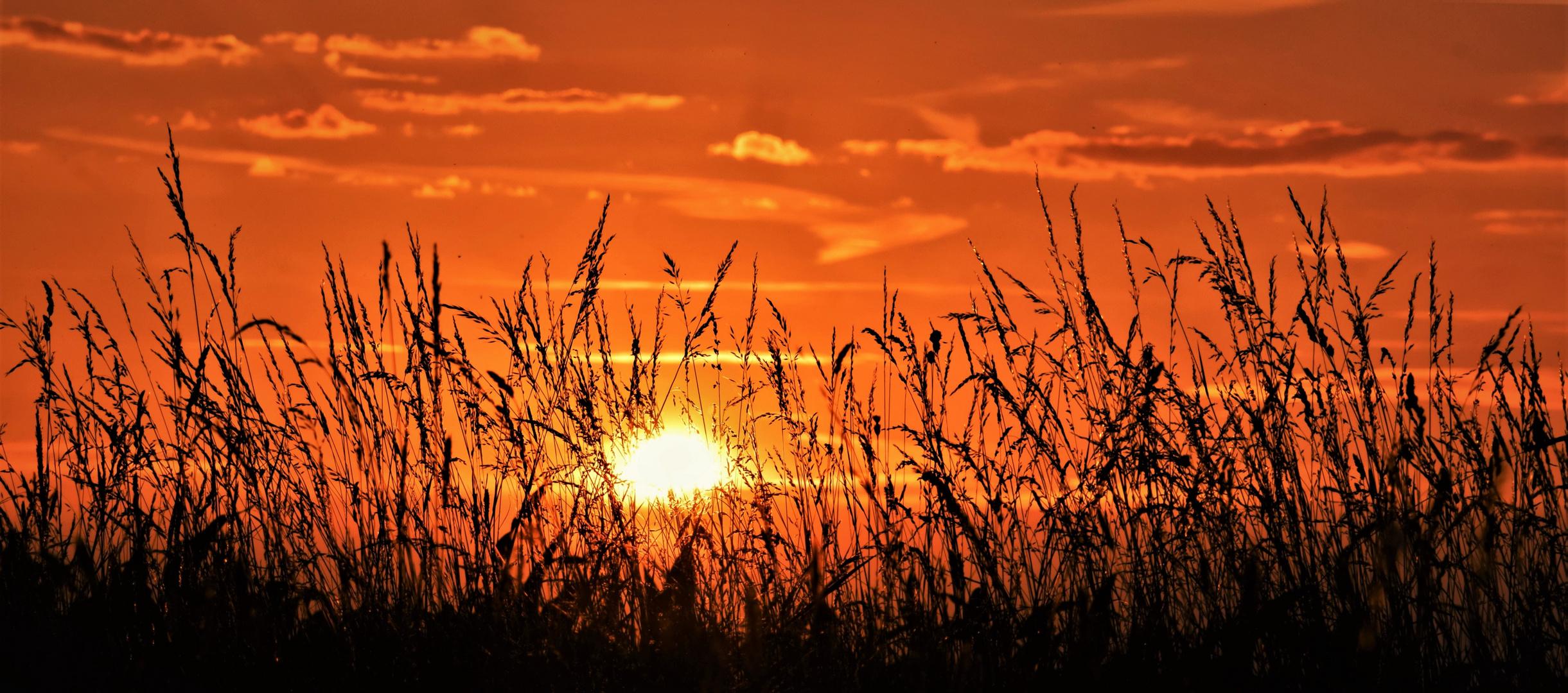 Abendstimmung im Sommer