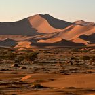 Abendstimmung im Sossusvlei