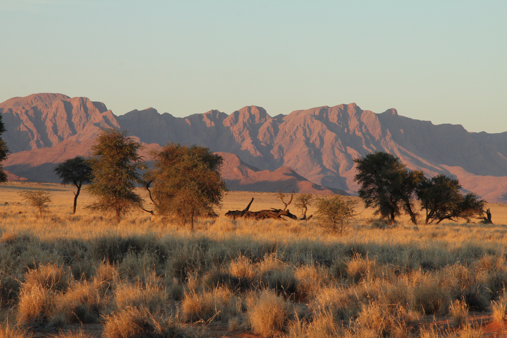 Abendstimmung im Sossusvlei