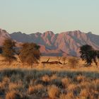 Abendstimmung im Sossusvlei