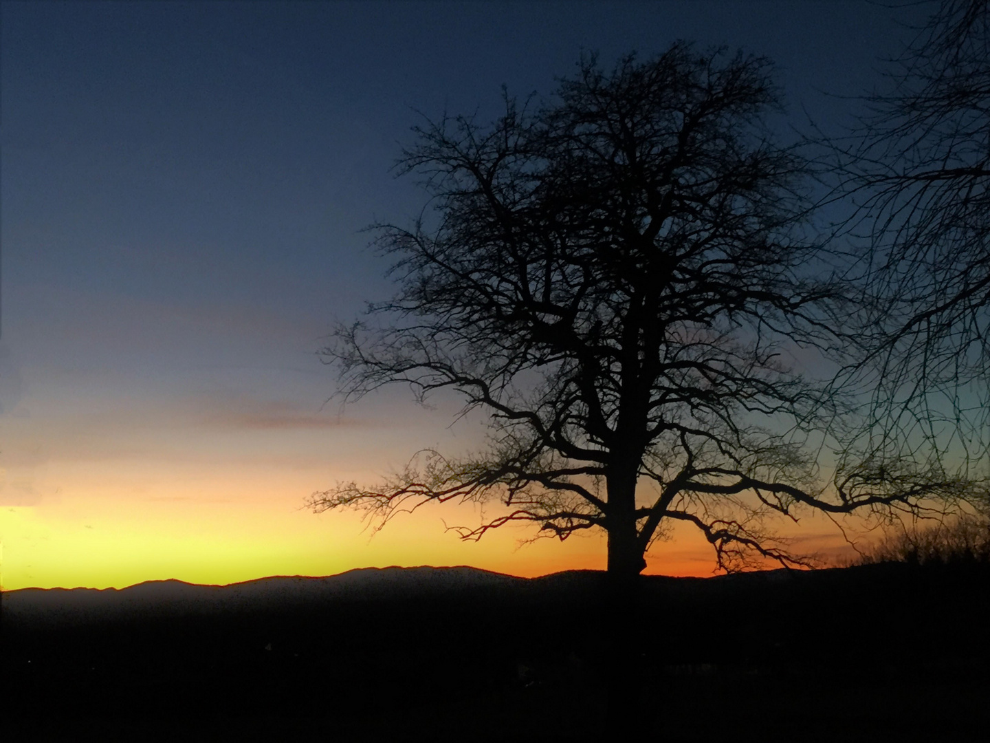 Abendstimmung im Spätherbst