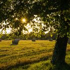 Abendstimmung im Spätsommer