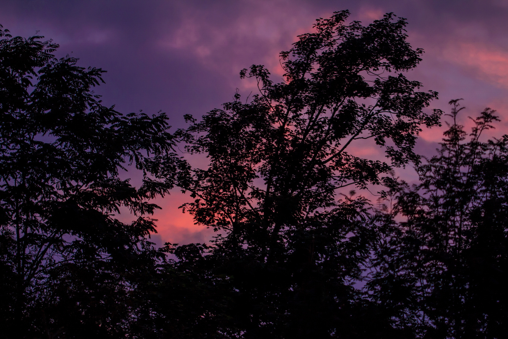 Abendstimmung im Spätsommer