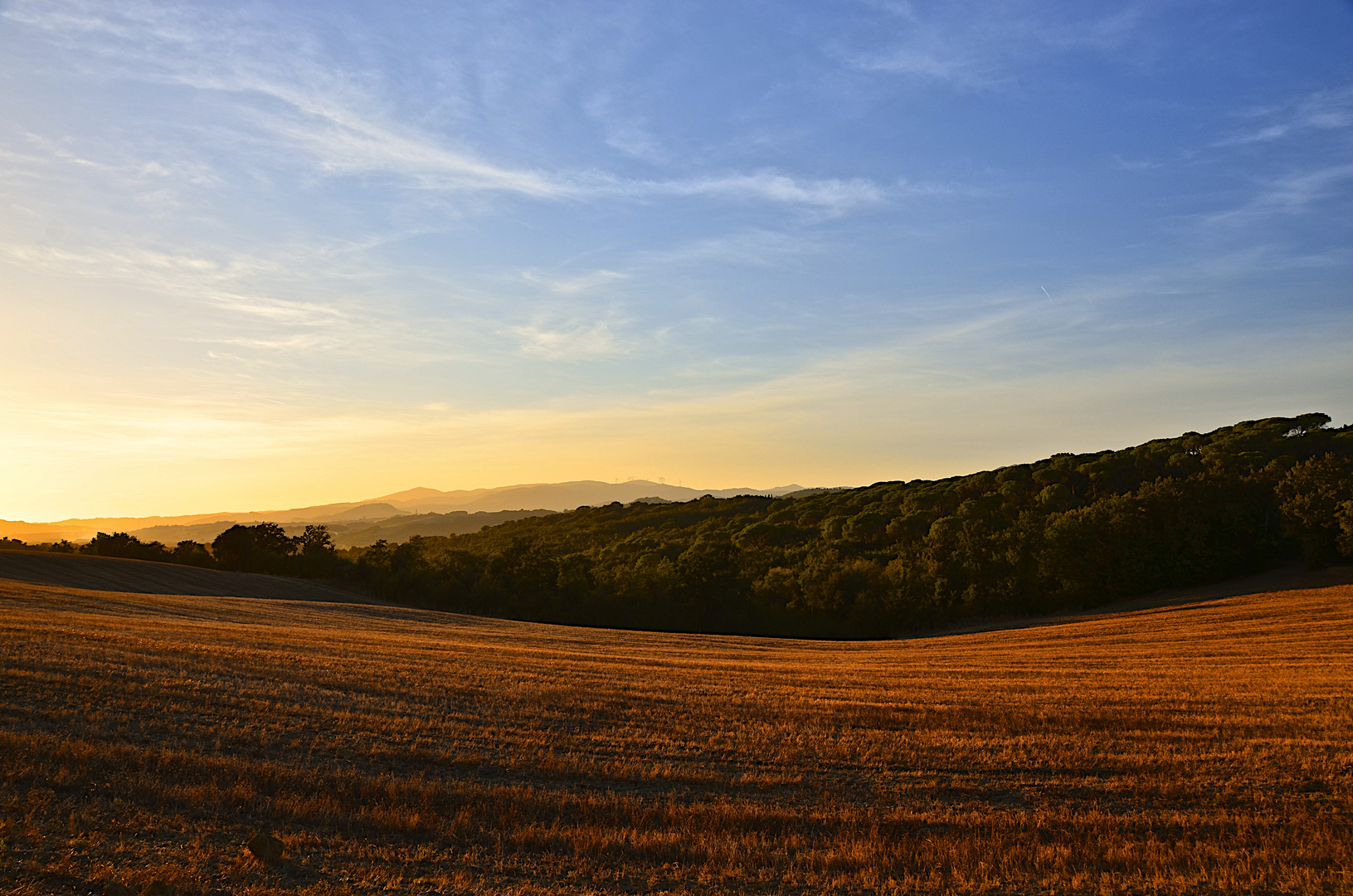 ABENDSTIMMUNG IM SPÄTSOMMER