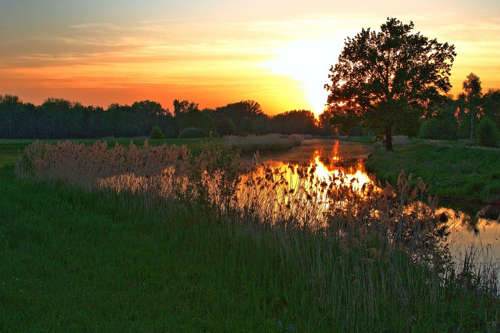 Abendstimmung im Spreewald