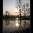 Abendstimmung im Spreewald