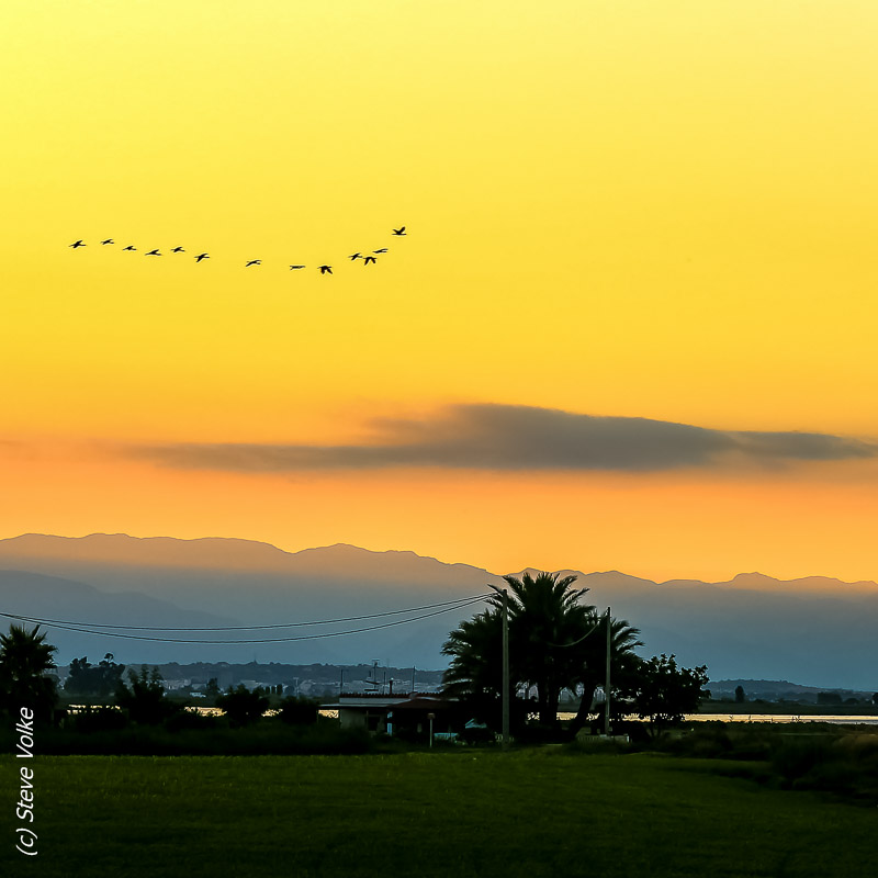 Abendstimmung im Sumpfgebiet Deltebre im Süden von Tarragona