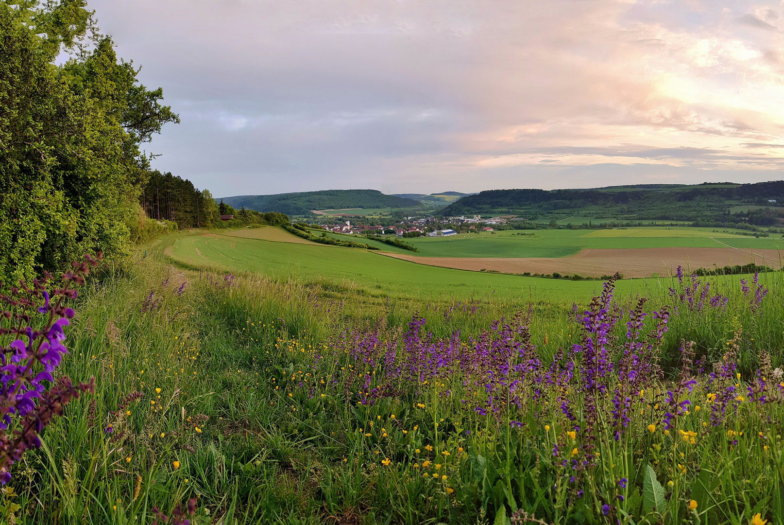 Abendstimmung im Taubertal.