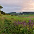 Abendstimmung im Taubertal.