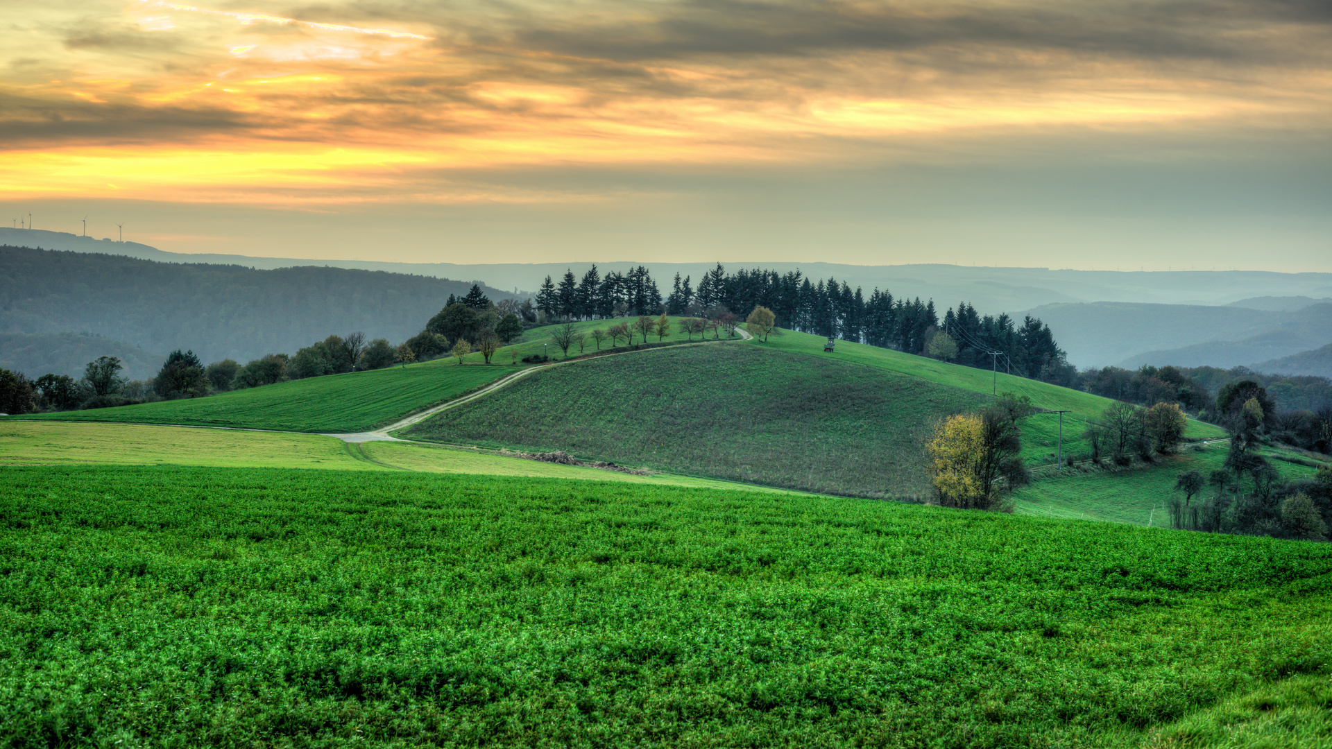 Abendstimmung im Taunus 83