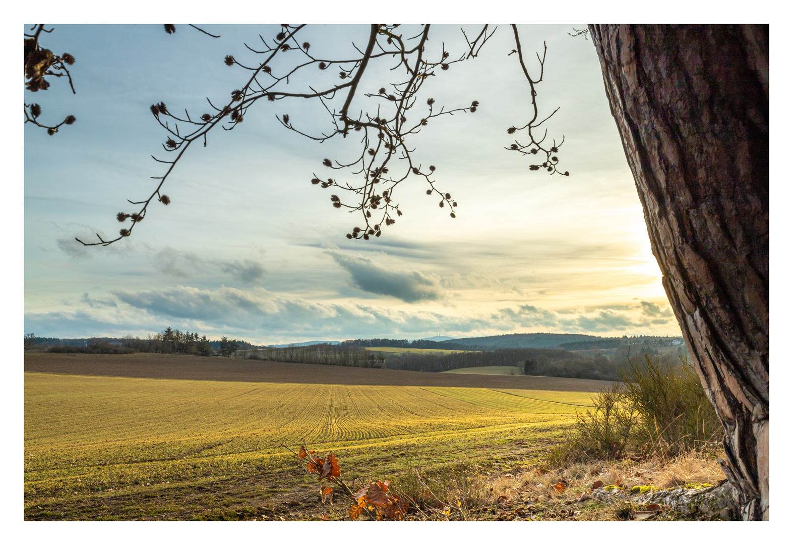 Abendstimmung im Taunus