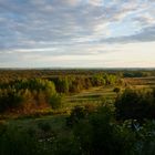 Abendstimmung im Tennenloher Forst