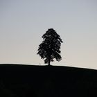 Abendstimmung im Toggenburg