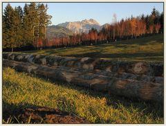 Abendstimmung im Toggenburg mit Säntis und Kuhfladen...