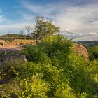 Abendstimmung im Trifelsland