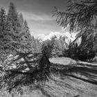 Abendstimmung im Triglav Nationalpark