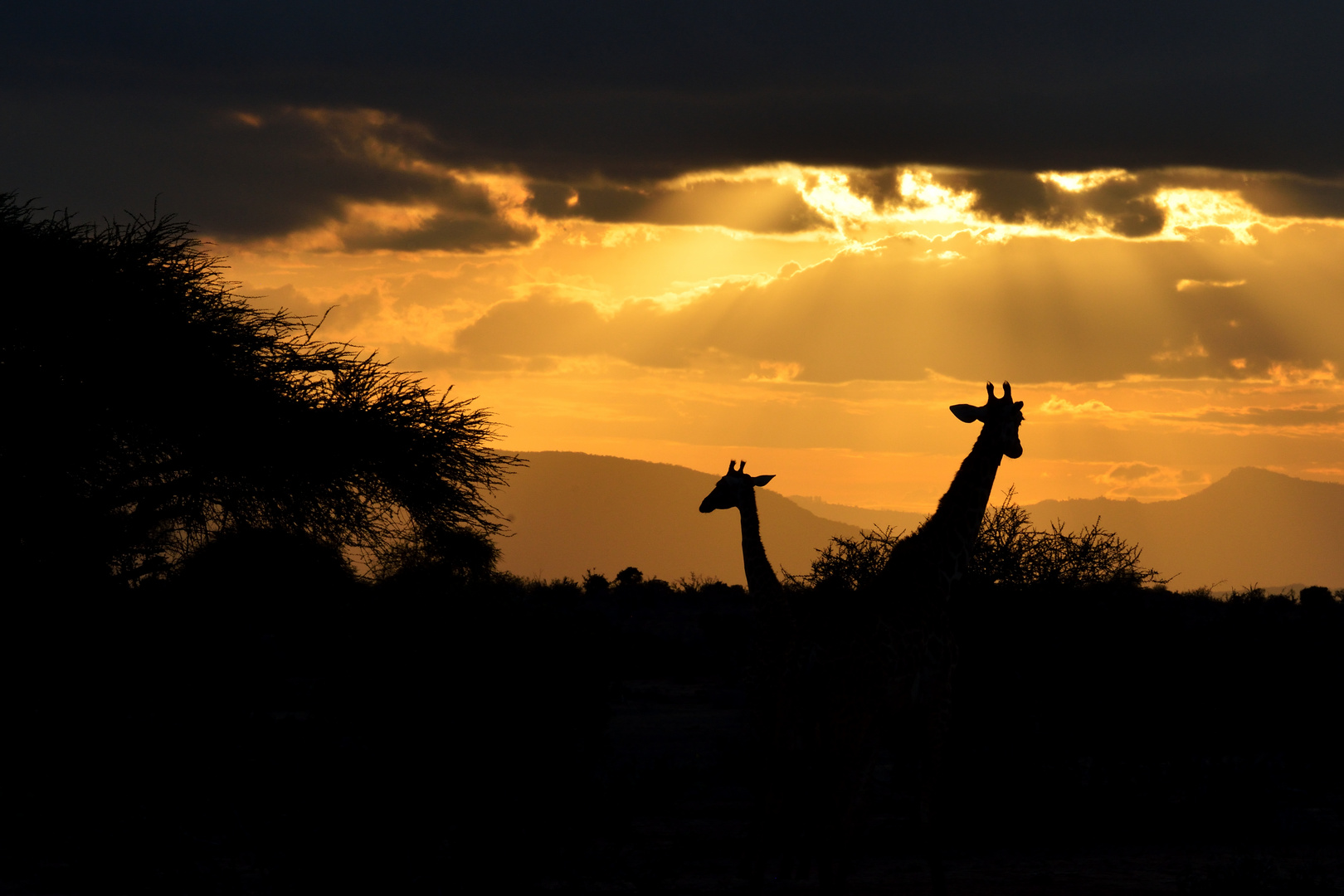 Abendstimmung im Tsavo NP