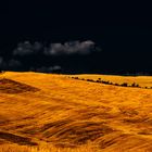 Abendstimmung im Val d´Orcia