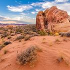 Abendstimmung im Valley of Fire (Moapa Valley, Nevada, USA)