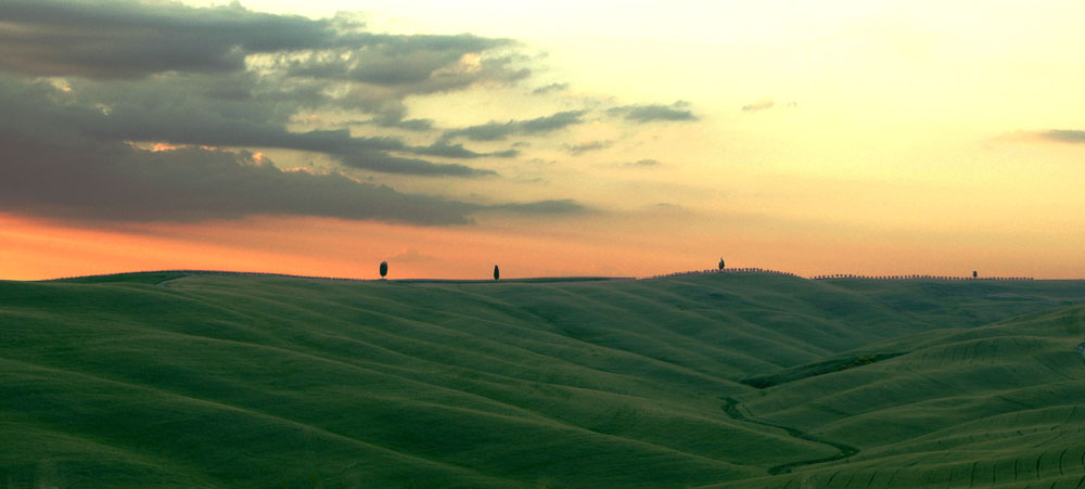 Abendstimmung im Val'Orcia