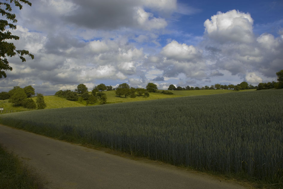 Abendstimmung im Vogelsberg