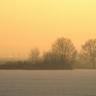 Abendstimmung im Vorfrühling