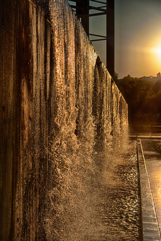 Abendstimmung im Wassergarten