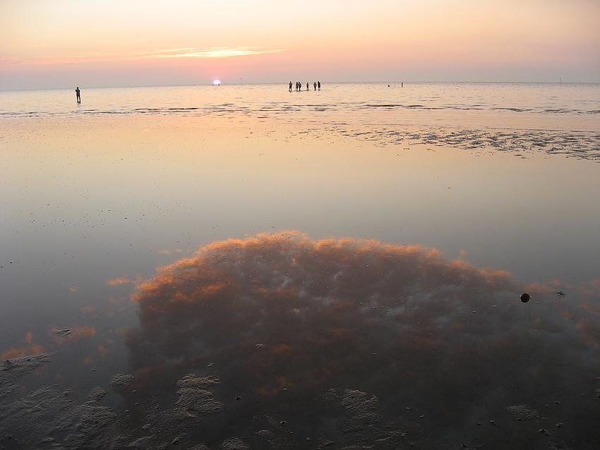 Abendstimmung im Watt mit Spiegelung