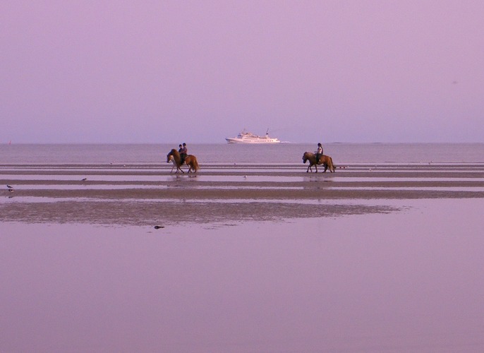 Abendstimmung im Watt (Nieblum/Föhr)