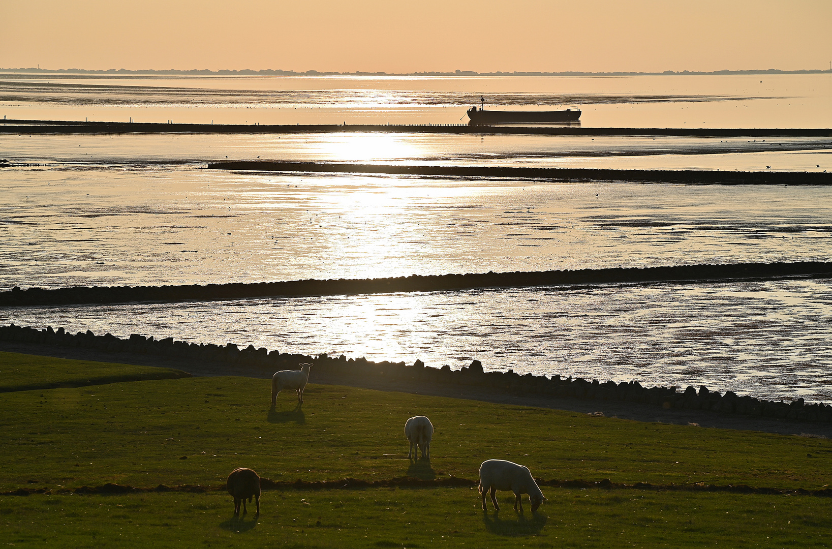 Abendstimmung im Watt vor der Insel Nordstrand.