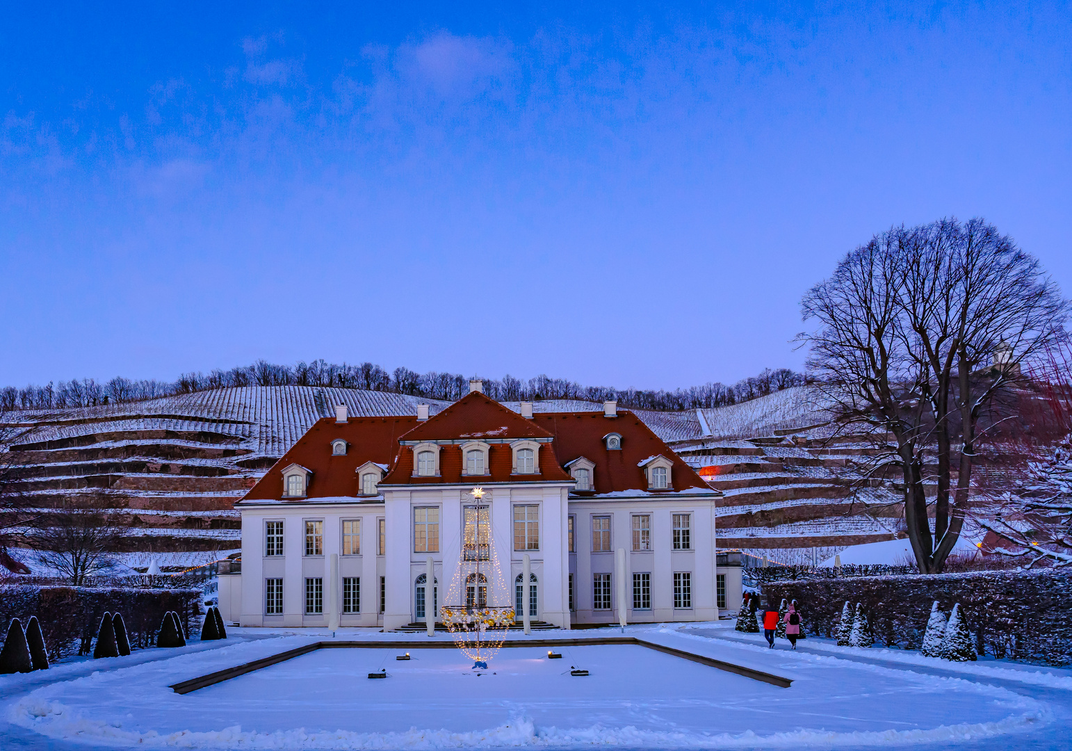 Abendstimmung im Weinberg