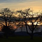 Abendstimmung im Weinsberger Tal