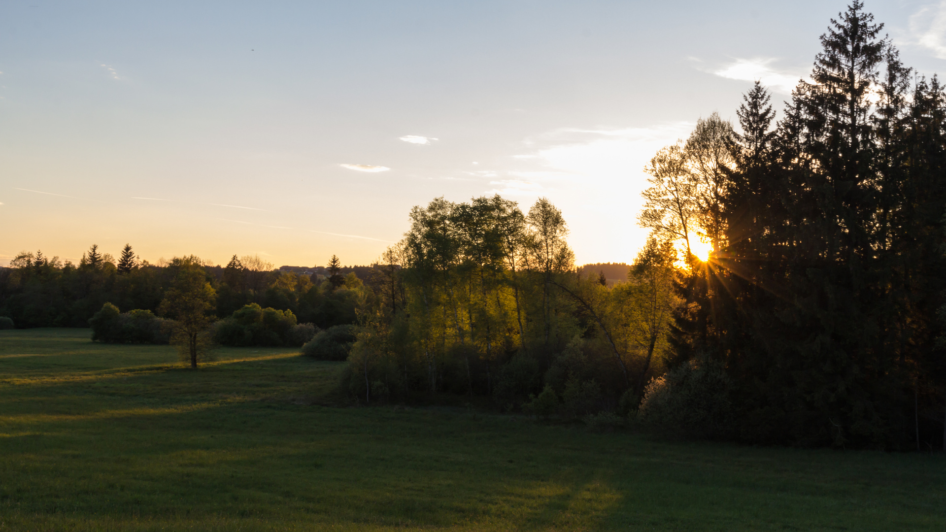 Abendstimmung im Wenger Moor