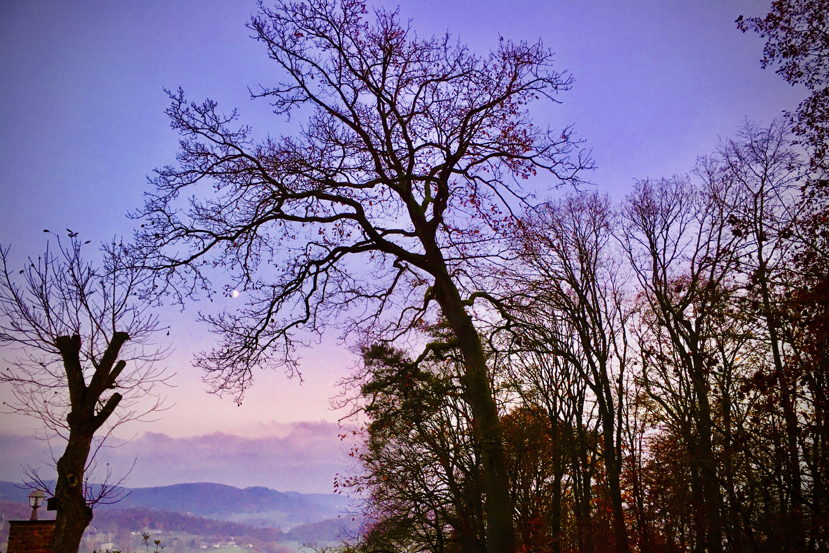 Abendstimmung im Westerwald 