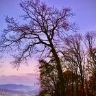 Abendstimmung im Westerwald 