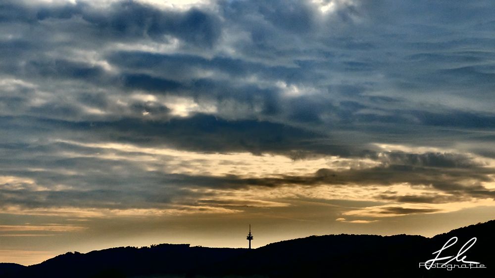 Abendstimmung im Wienerwald