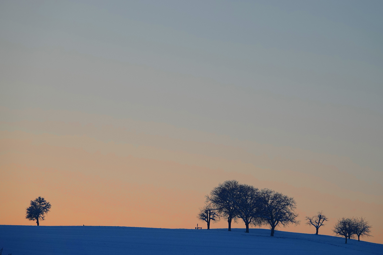 Abendstimmung im Winter...