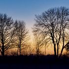 Abendstimmung im Winter mit Bäumen