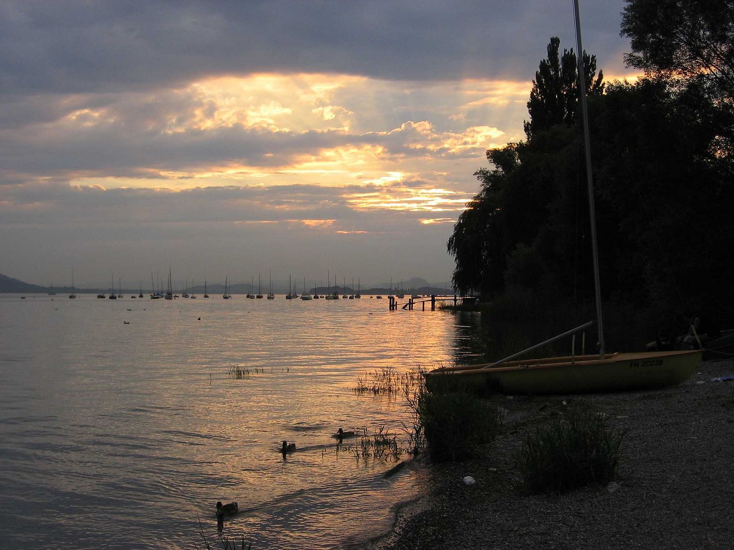 Abendstimmung in Allensbach am Bodensee