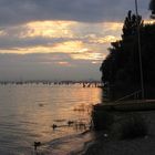 Abendstimmung in Allensbach am Bodensee