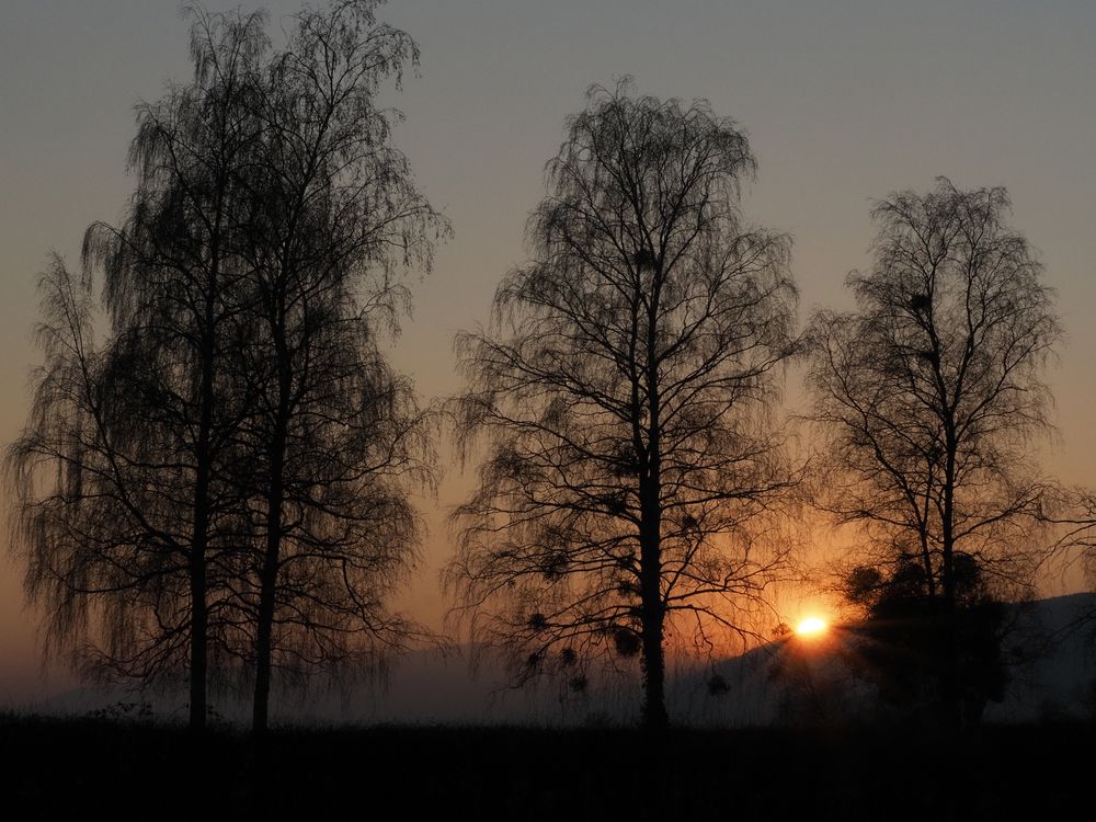 Abendstimmung in Altreu