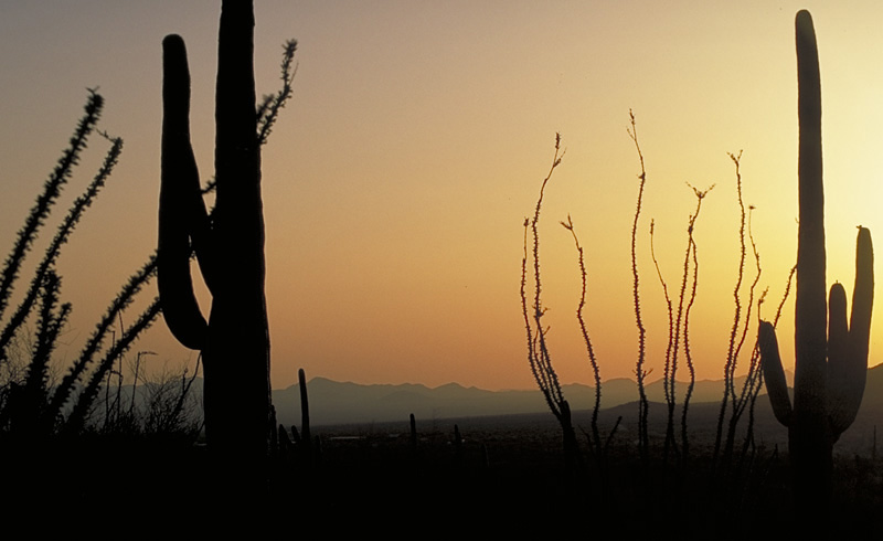 Abendstimmung in Arizona