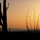 Abendstimmung in Arizona