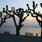 Abendstimmung in Ascona am Lago Maggiore