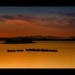 ** Abendstimmung in Baia Sardinia **