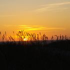 Abendstimmung in Bjerregaard / DK