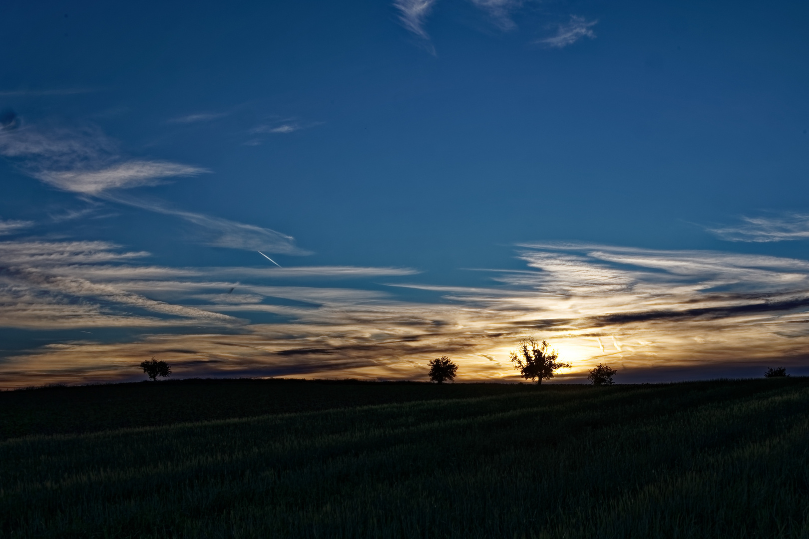 Abendstimmung in Brackenheim-Botenheim am Weingut Holzwarth