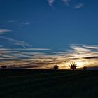 Abendstimmung in Brackenheim-Botenheim am Weingut Holzwarth