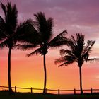 Abendstimmung in Broome WA